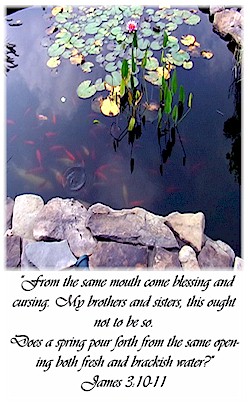 free printable church bulletin covers